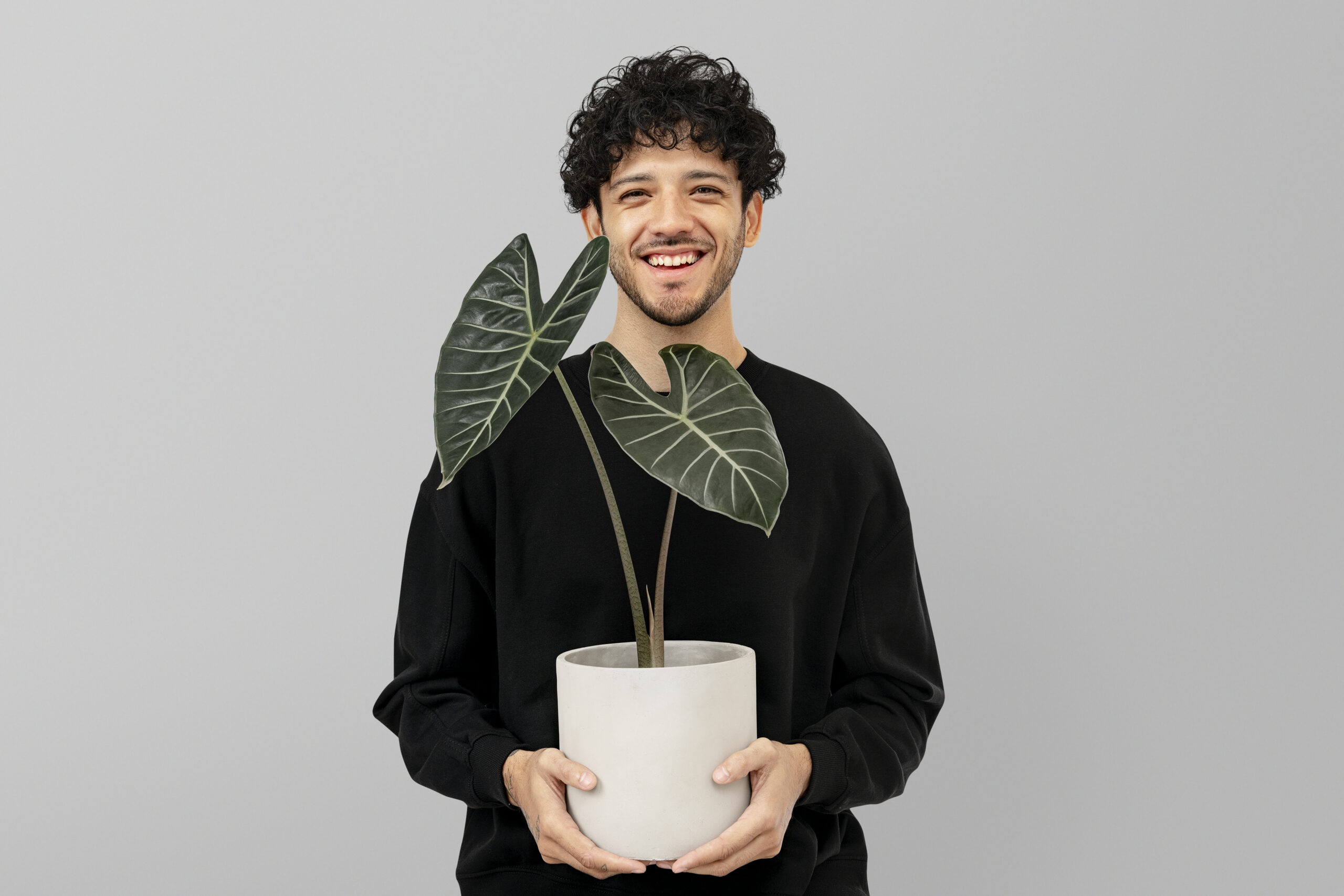 Latino plant parent holding potted alocasia